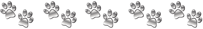 10 gray pawprints