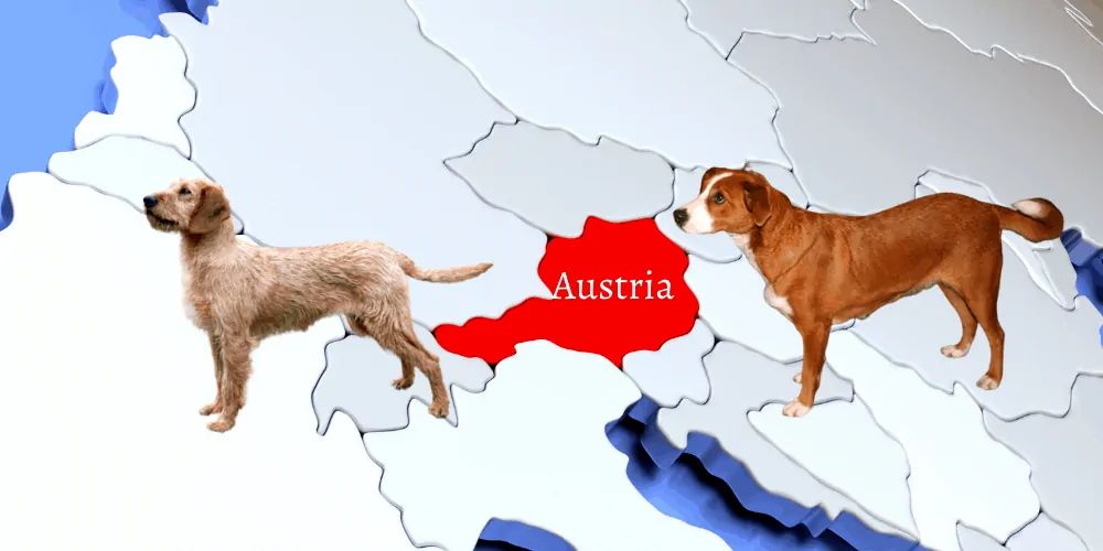 2 austrian dog breeds
