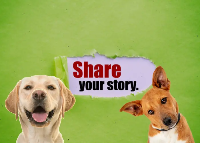 2 dogs with share your story sign
