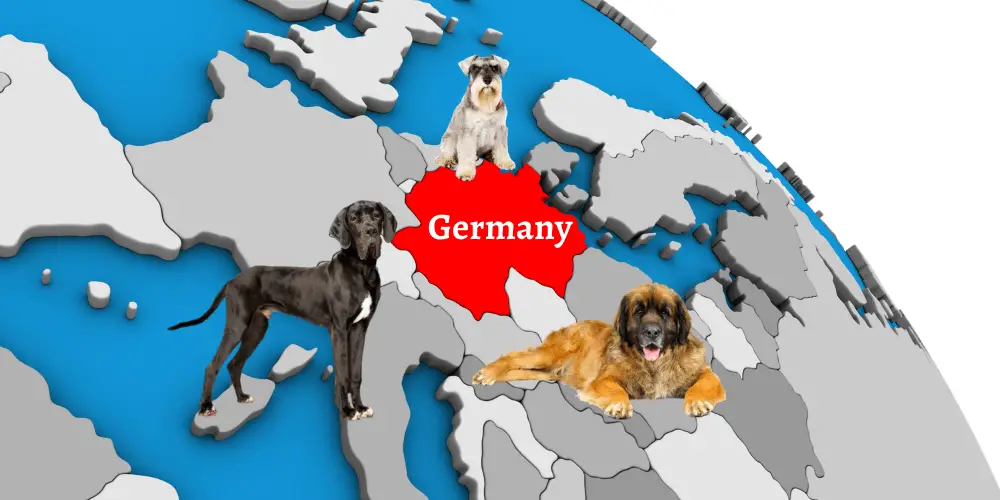 3 German dog breeds on the germany map