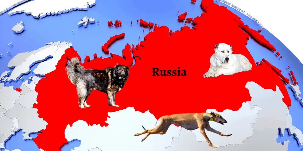 3 Russian dog breeds on the map