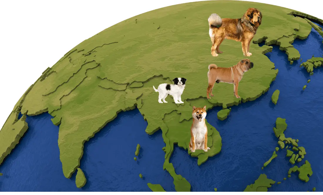4 Asian dog breeds standing on the globe
