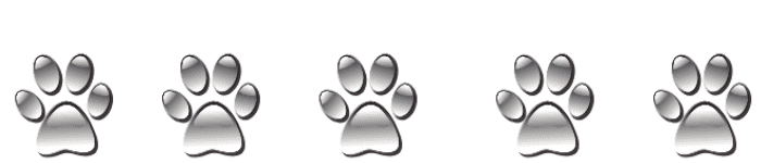 5 silver dog paw prints on white background