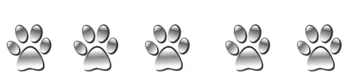 5 silver dog paw prints on white background