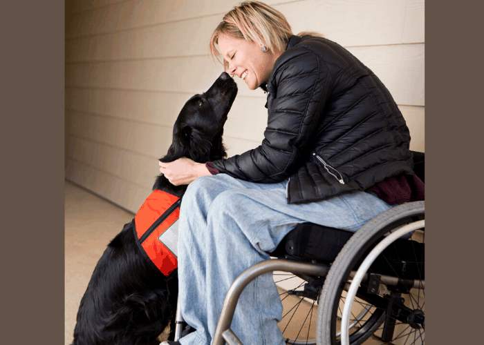 A mature woman wheelchair user with her service dog