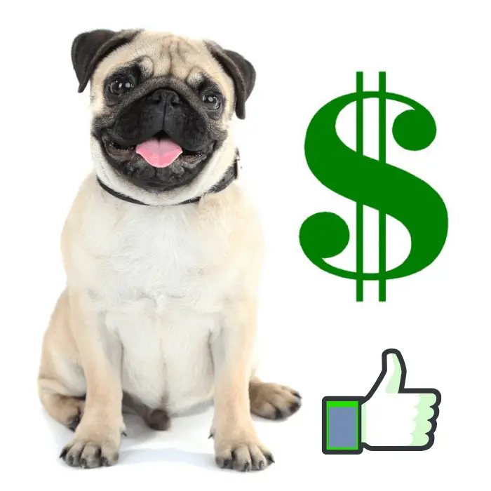 A pug, green dollar and thumb up sign