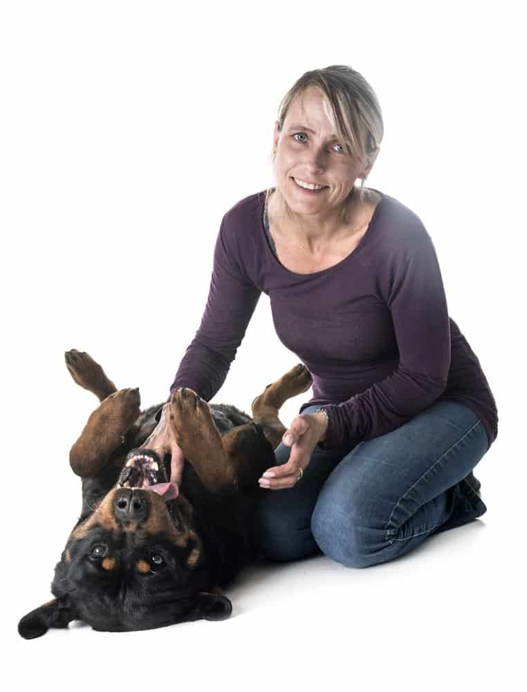 Adult rottweiler being tickled and woman in front of white background