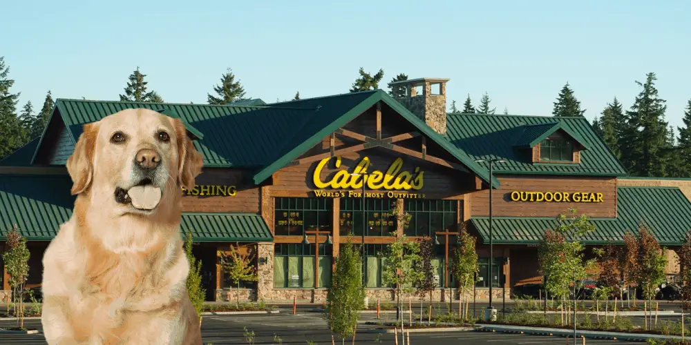 Are Dogs Allowed in Cabela’s featured image