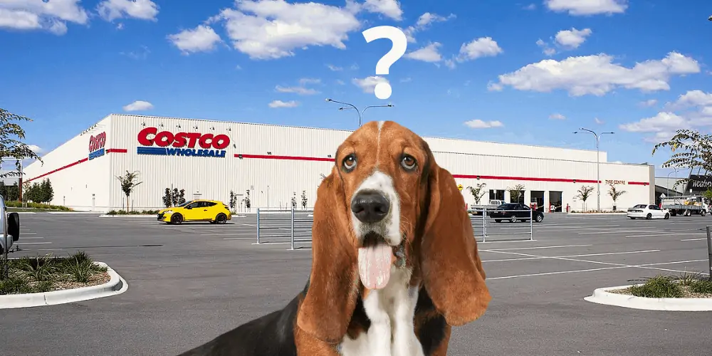 Are dogs allowed in Costco featured image