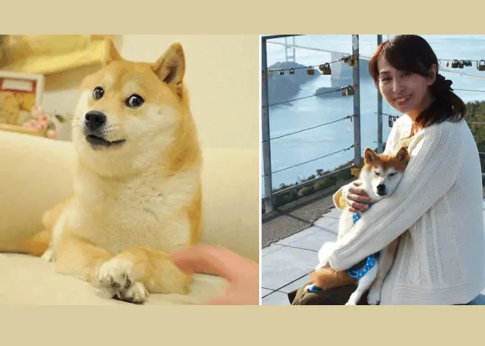 Atsuko Sato and her shiba inu