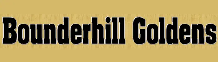 Bounderhill Goldens logo