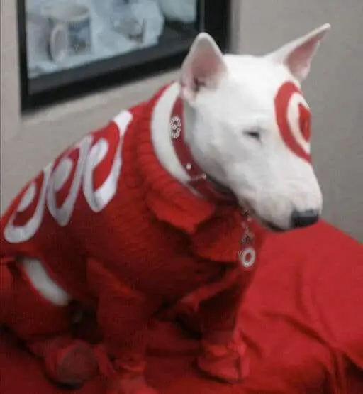 Bullseye, the official mascot of Target Corporation
