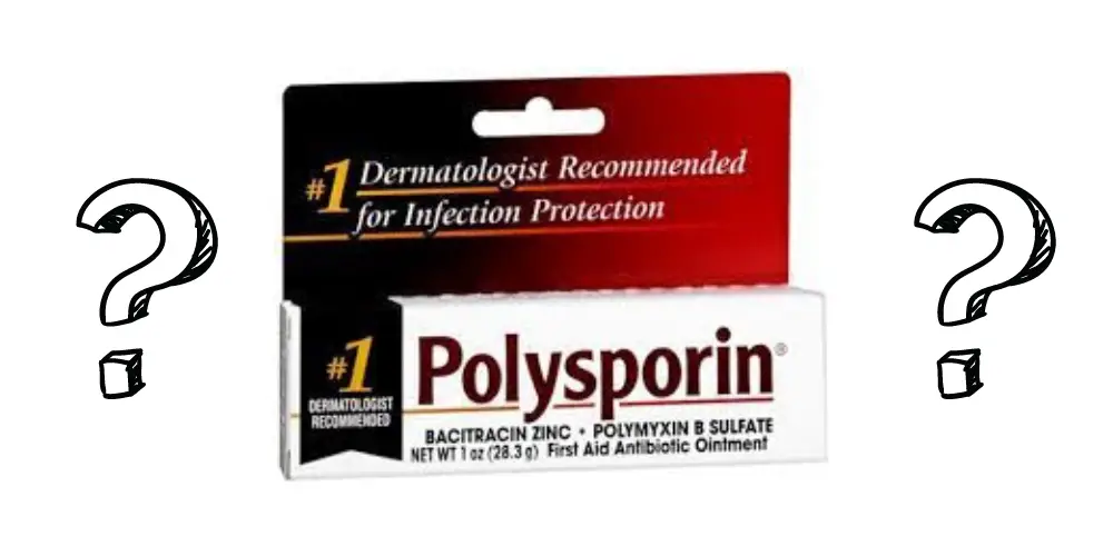 Can You Use Polysporin on Dogs blog post featured image