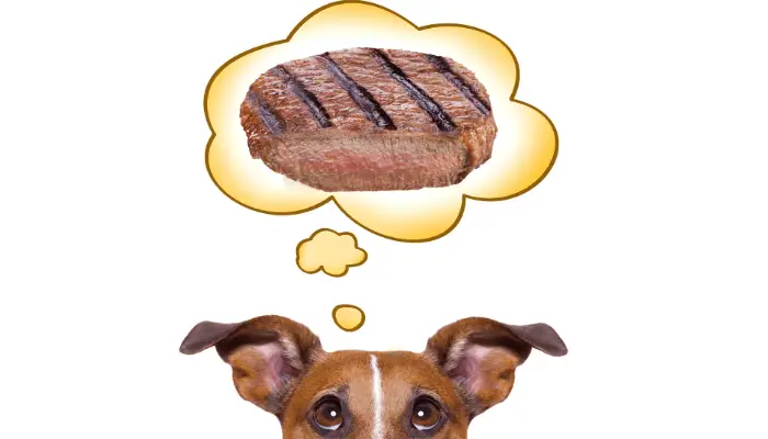 Can dogs eat medium steak image