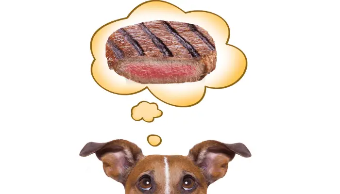 Can dogs eat rare steak image