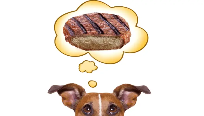 Can dogs eat well-done steak image
