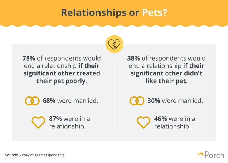 Children or pets infographic #5