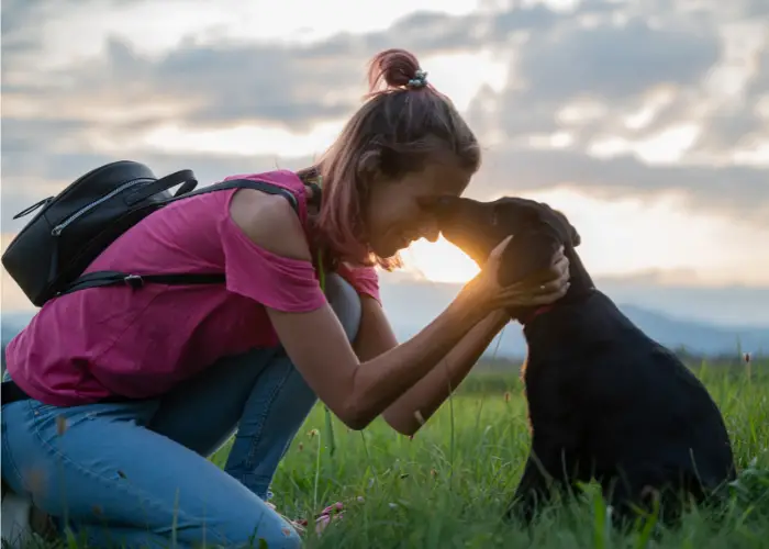 Dog kissing its owner