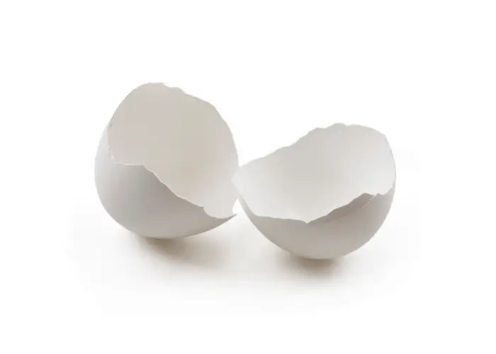 Egg shells