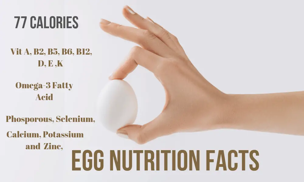 Eggs Nutrition Facts