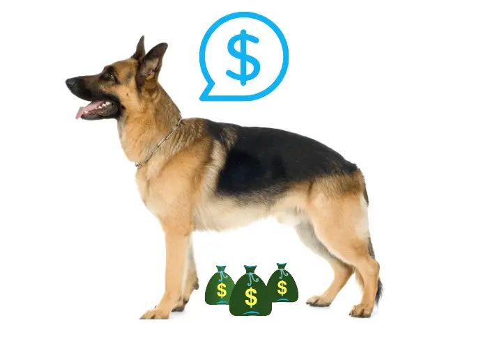 German shepherd price