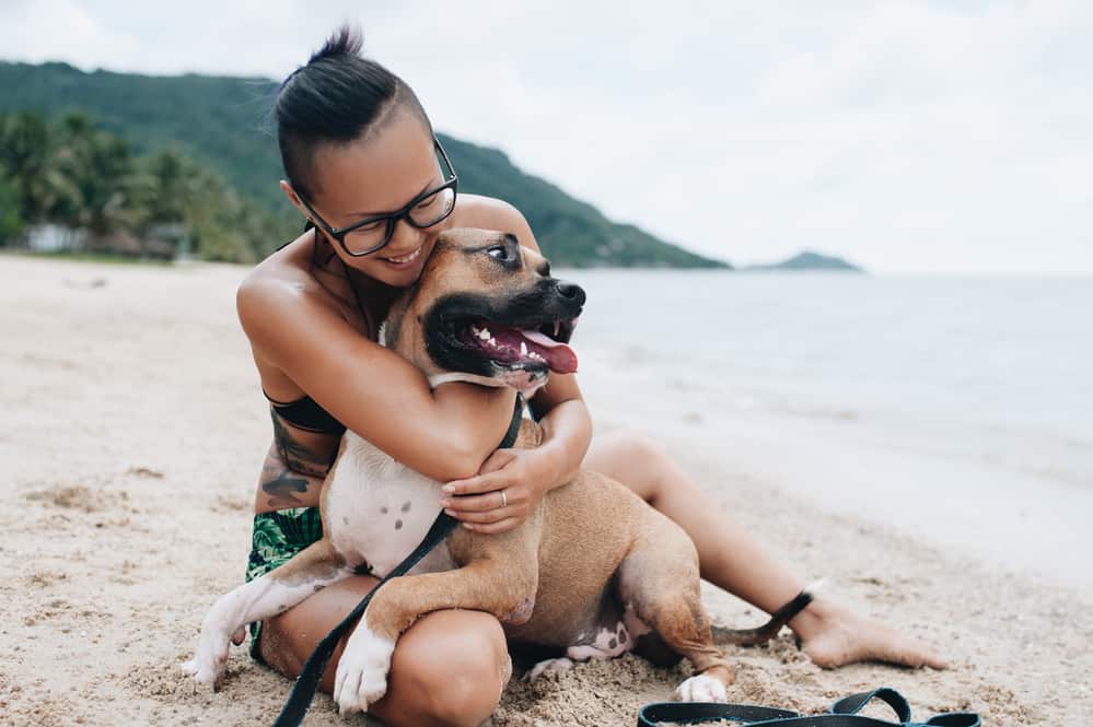 girl hugging a pit bull terrier