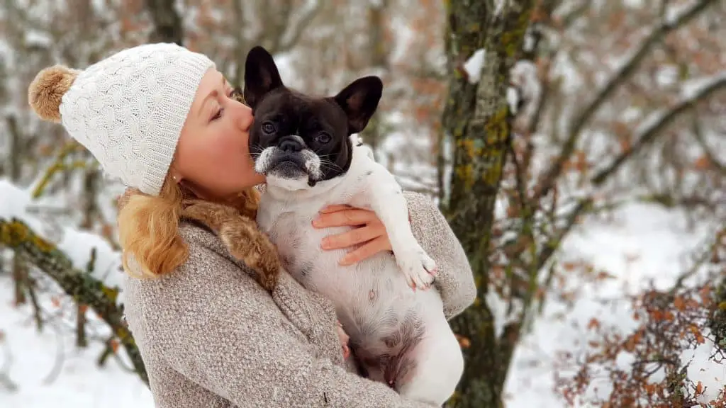 Girl kissing a french bulldog in the snow