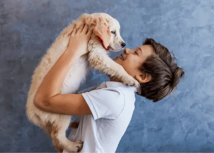 Golden retriever being carried by a boy