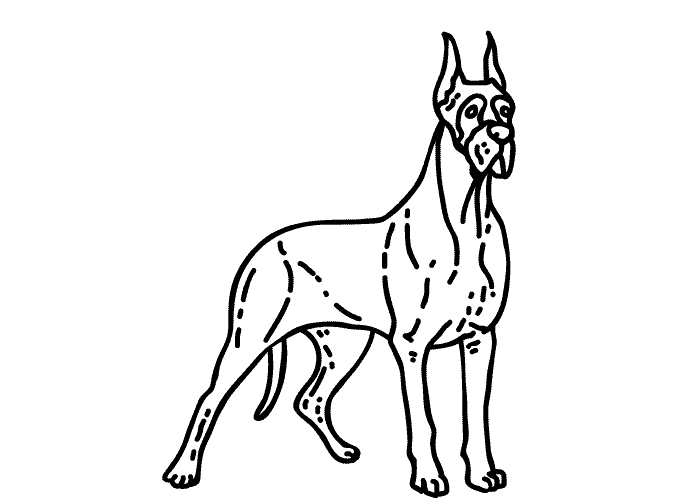 Great dane dog style line illustration