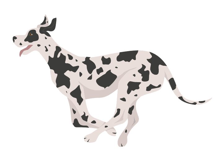 Great dane running vector illustration