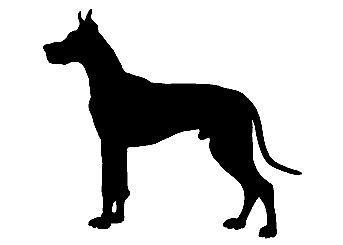 Great dane silhoutte