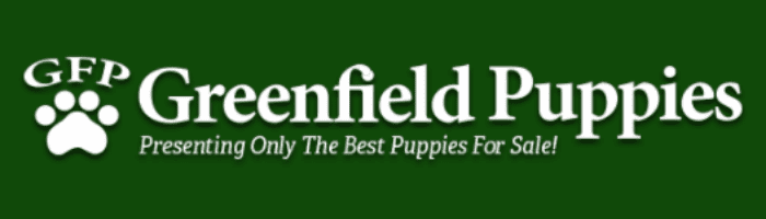 Top 10 Red Golden Retriever Puppy Breeders in the USA!