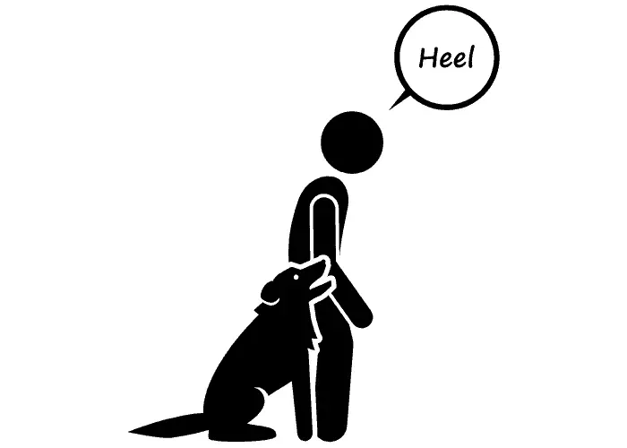 "Heel" dog command illustration