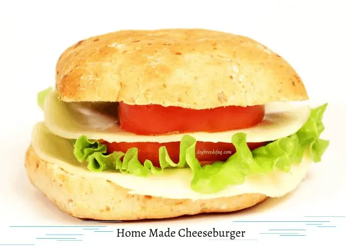 Home made cheeseburger on white background
