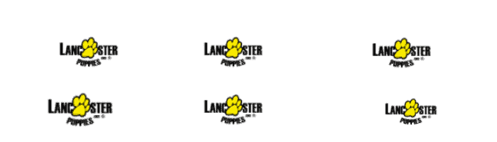 Lancaster Puppies logo
