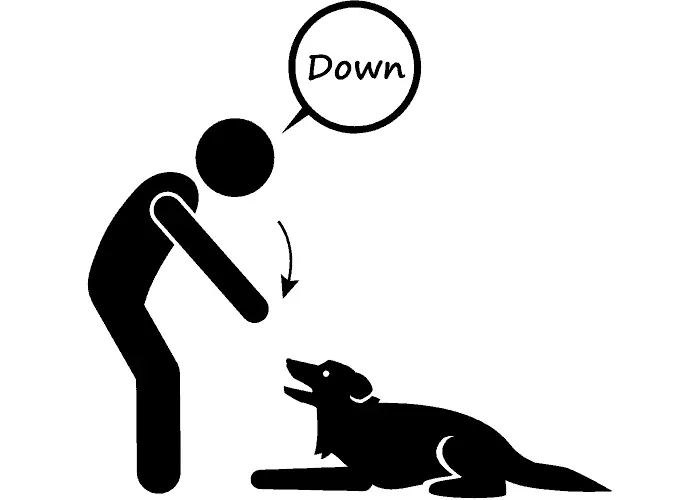 "Lay down" dog commands illustration