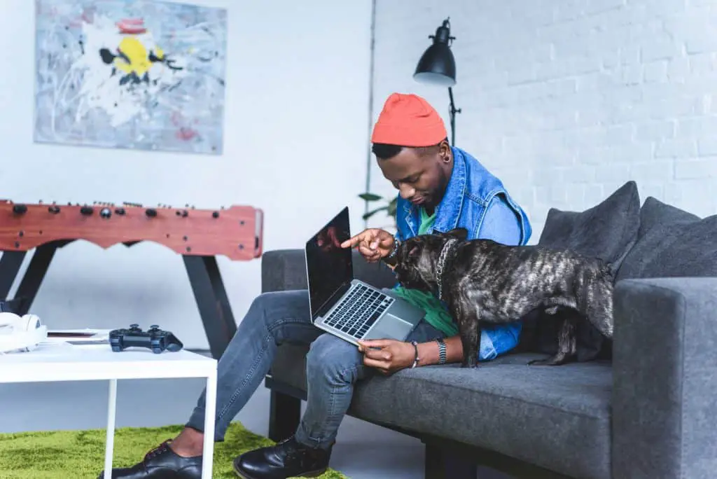 Young man showing laptop screen to a cute French bulldog