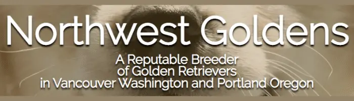 Northwest Goldens logo