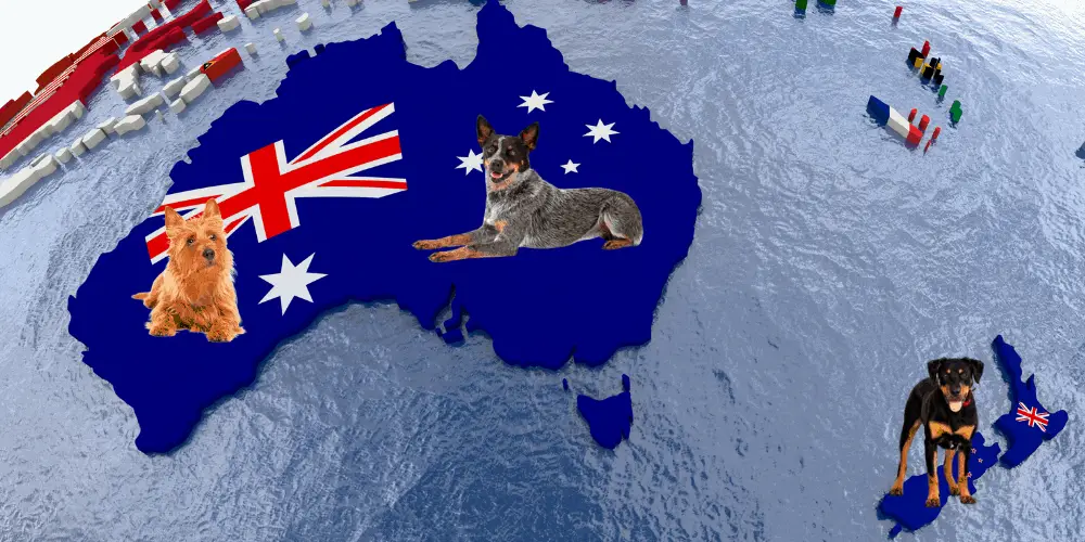 3 Oceania Dog Breeds