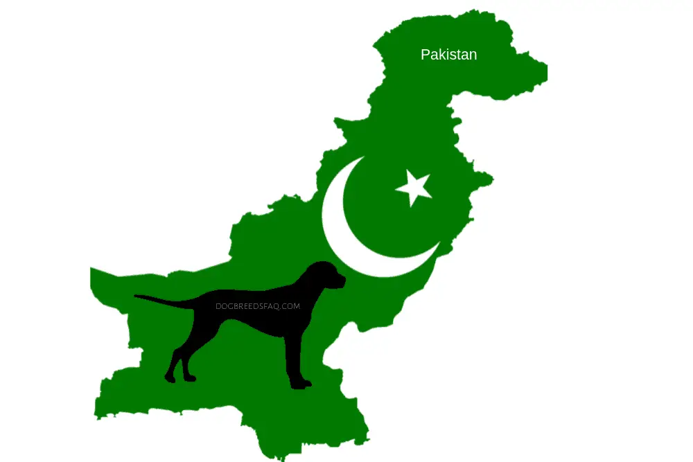 Pakistan Dog breeds