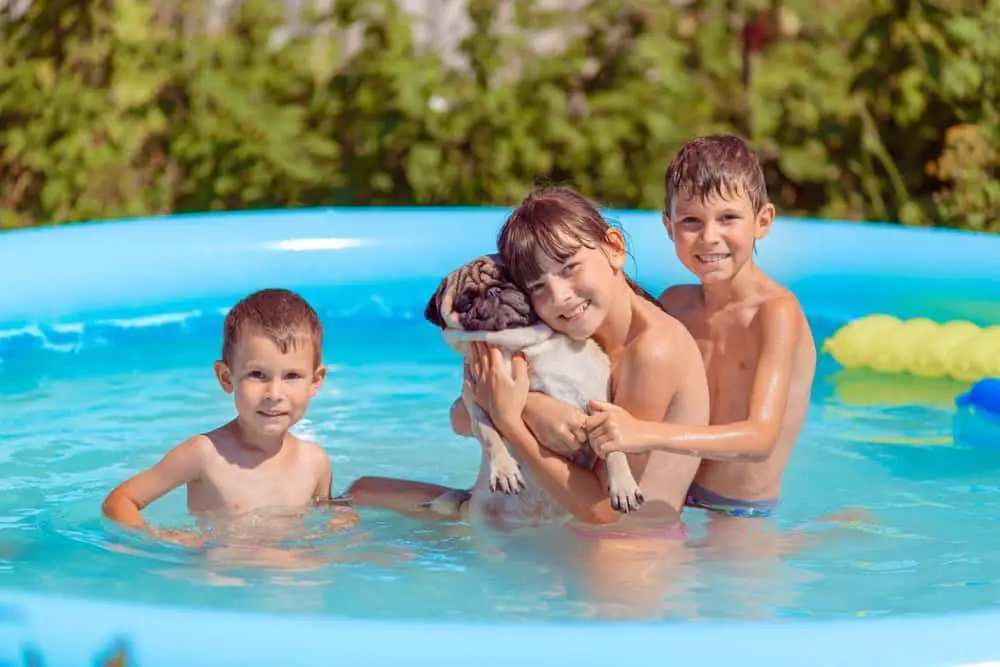 Pug dog with children in an inflatable pool