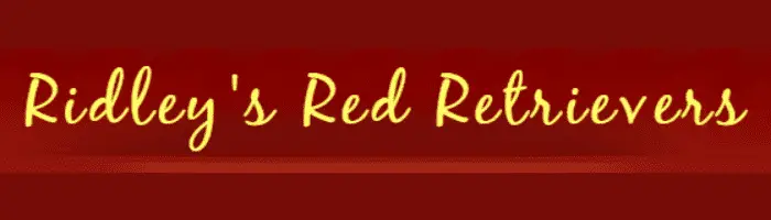 Ridley’s Red Retrievers logo