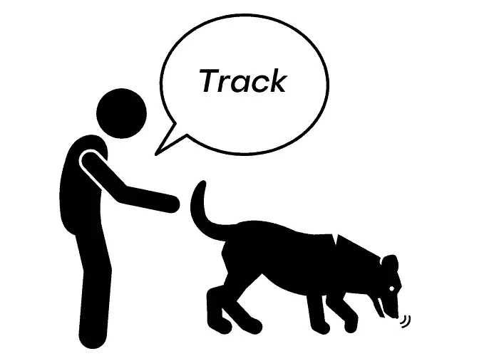 "Track" dog command illustration