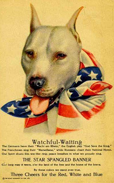 WW1 poster featuring a pit_bull