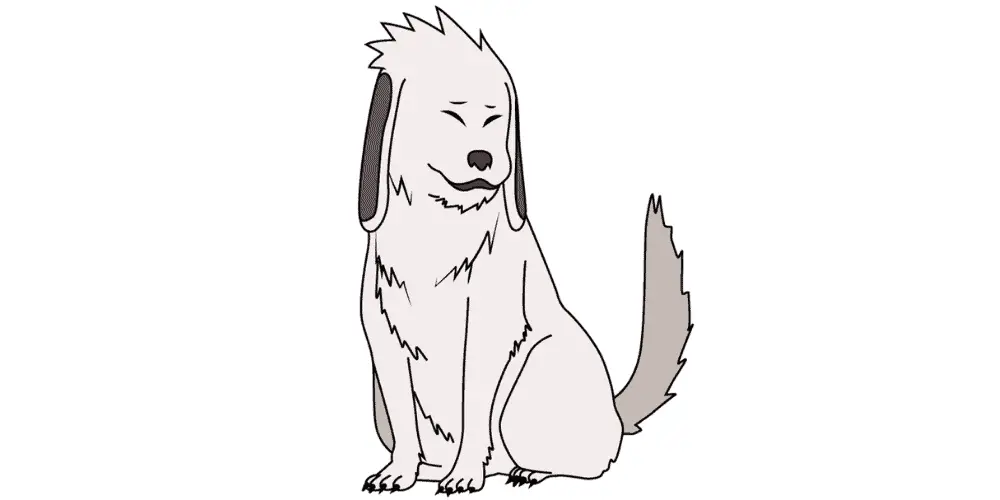 What Type of Dog is Akamaru