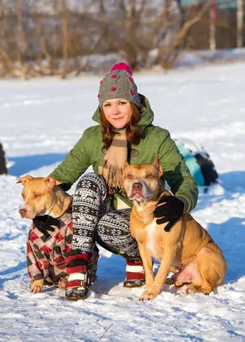 a girl and 2 pit bulls in the snow