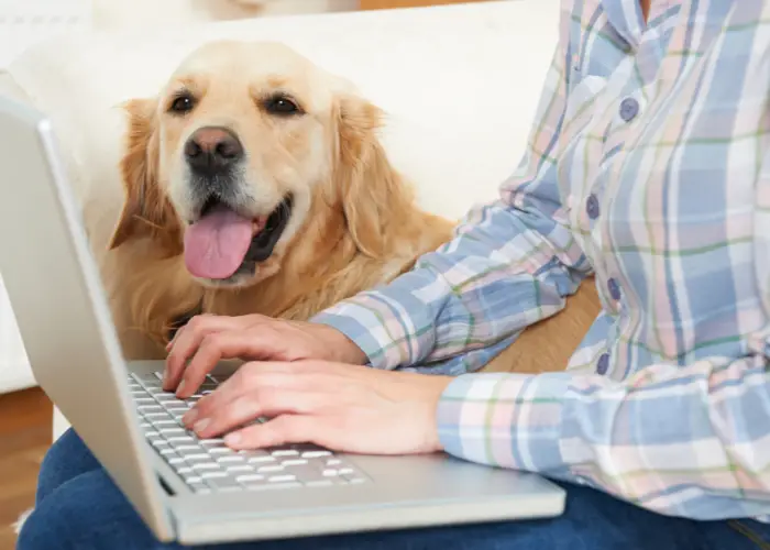 a man planning his travel with his dog