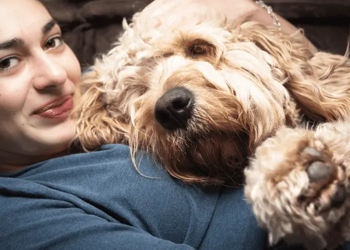 a woman cuddling a goldendoodle