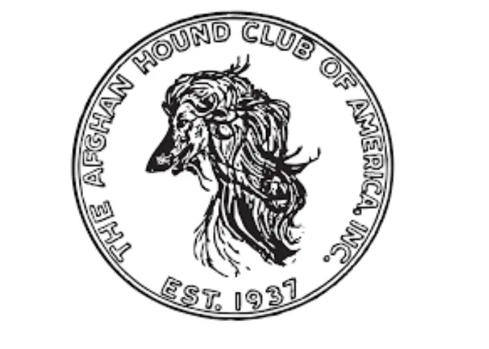 afghan hound club of america logo