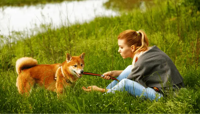 shiba and owner near the lake